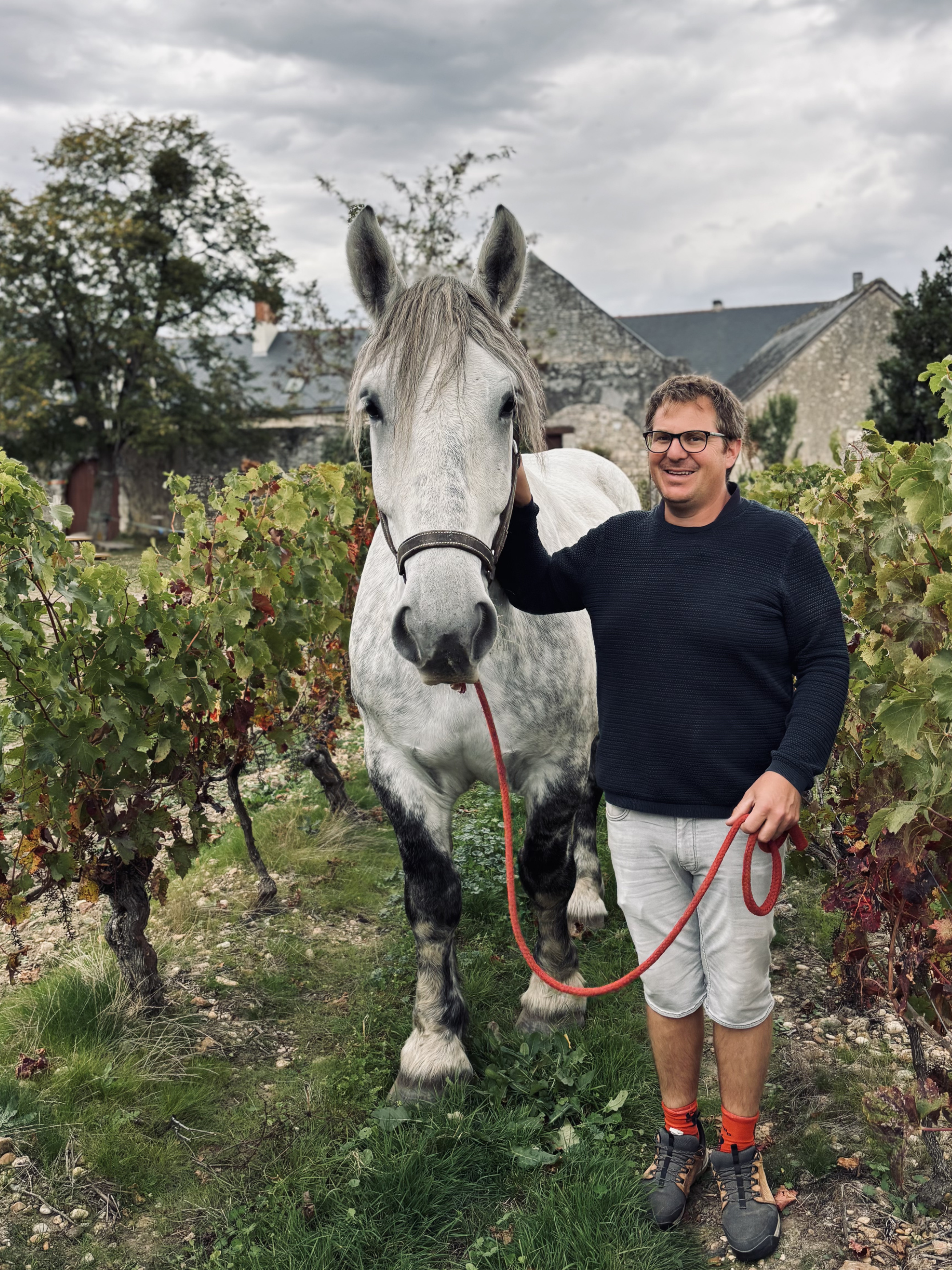jumpy dans les vignes